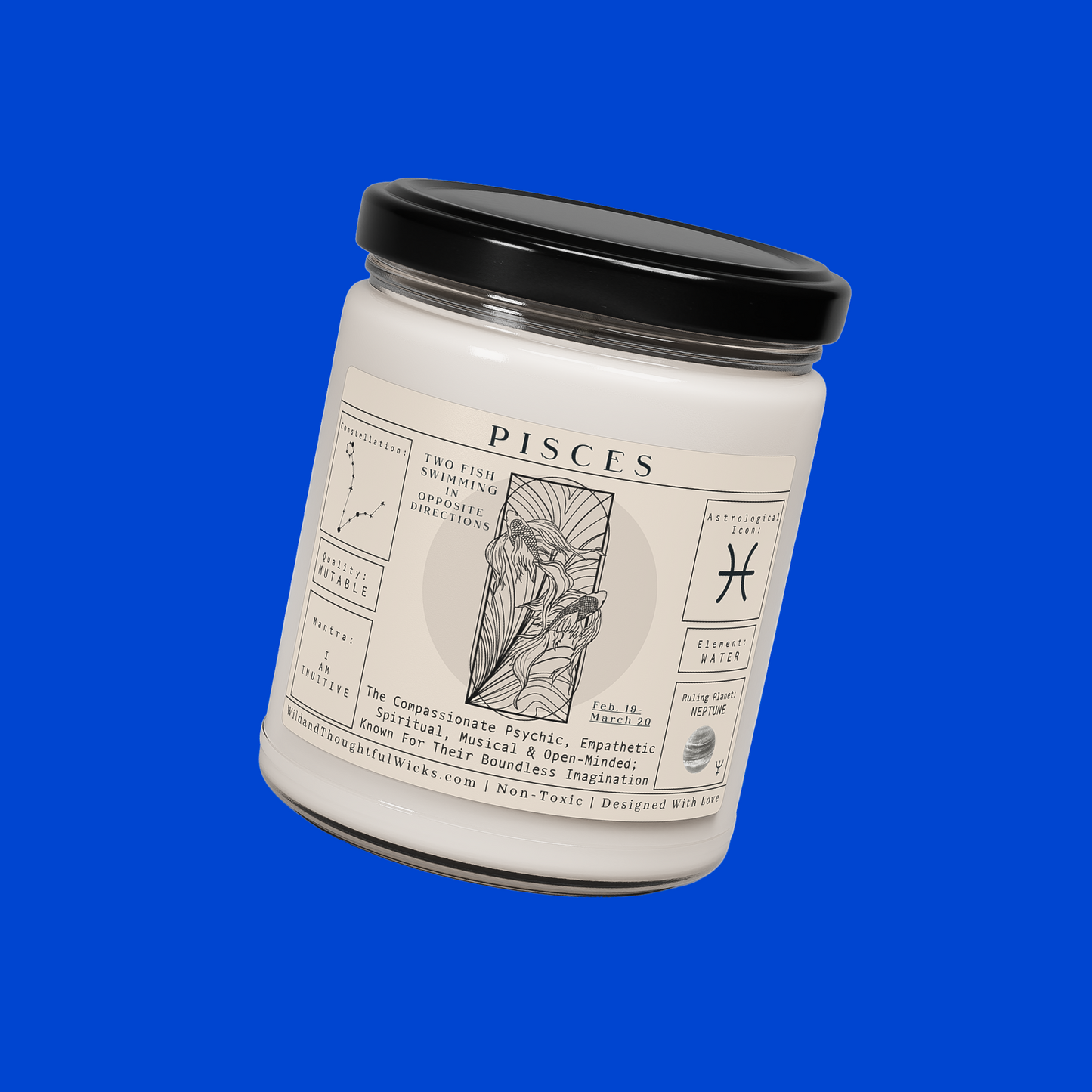 Astrology Candle: Pisces