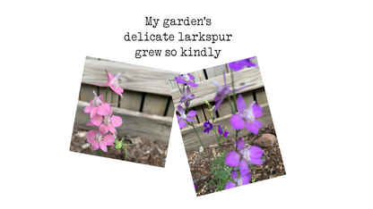 Garden: The Larkspur Candle